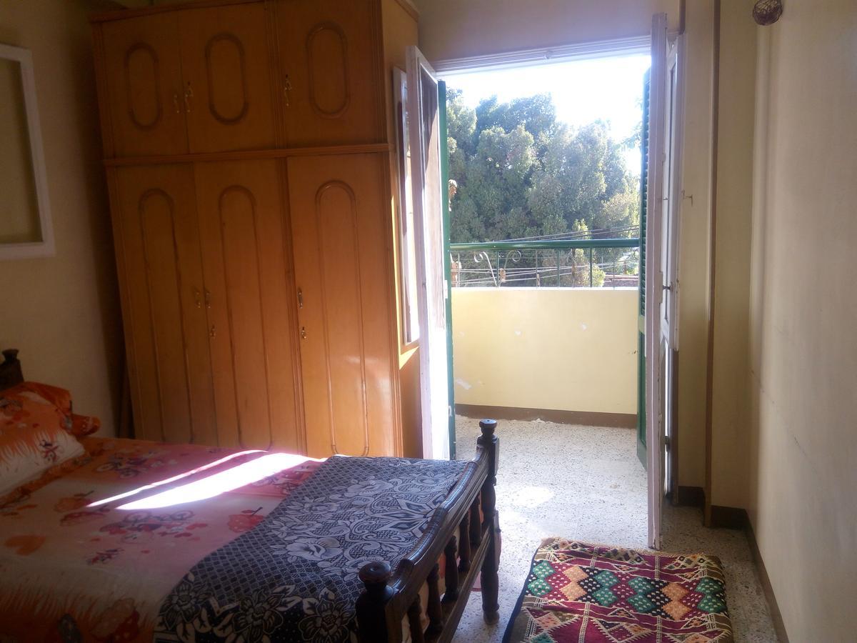 Bakar Guest House 阿斯旺 外观 照片