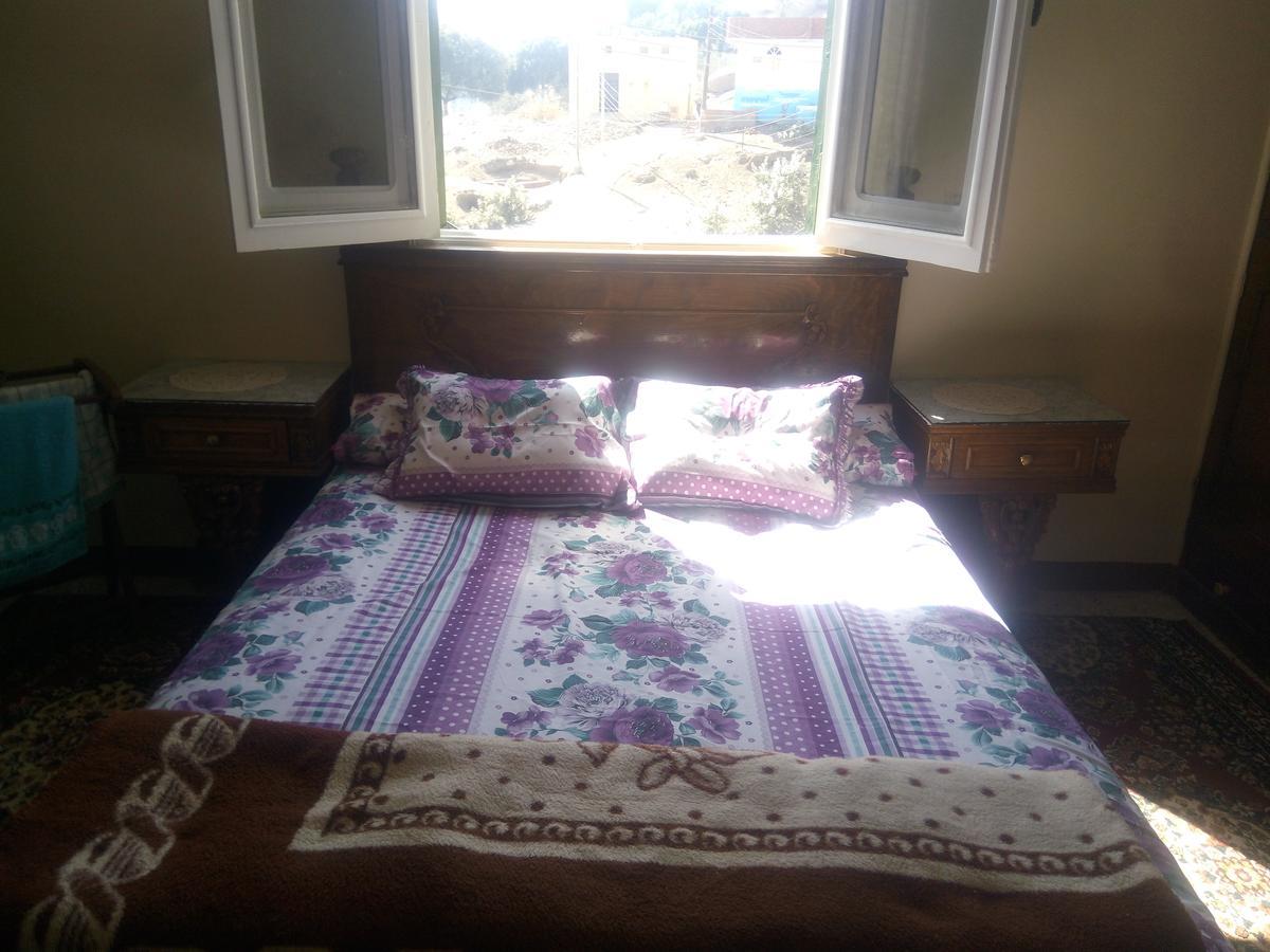 Bakar Guest House 阿斯旺 外观 照片